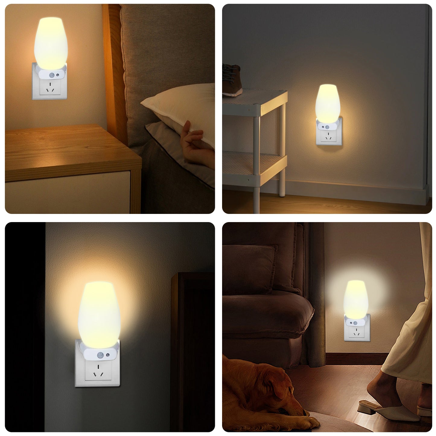 Rechargeable LED Night Light with Detachable Torch