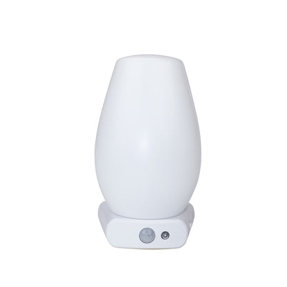 Rechargeable LED Night Light with Detachable Torch